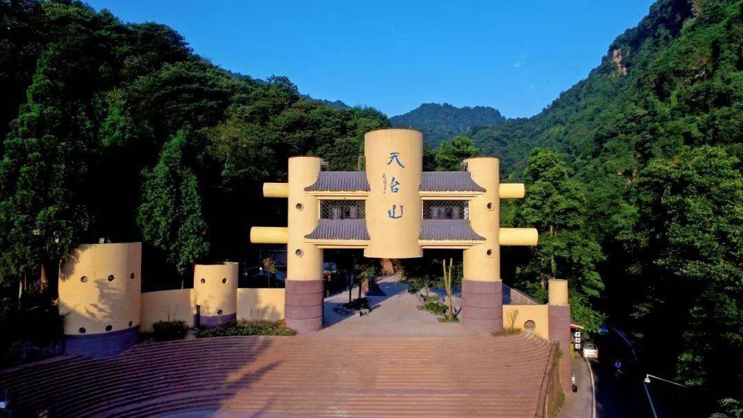 萤火虫生态场景